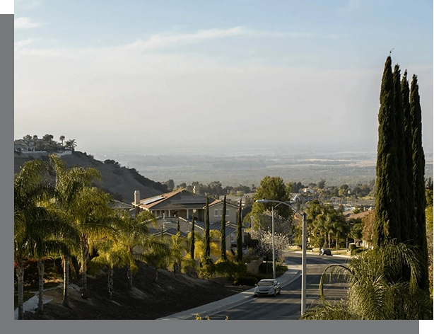 Suburban neighborhood with homes, lush green trees, and a clear view of a valley under a hazy sky at dusk in Novato Real Estate.