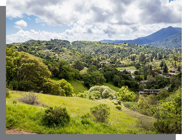 Lush green landscape with rolling hills, scattered trees, and a view of a small village under a cloudy sky in the San Anselmo real estate area.